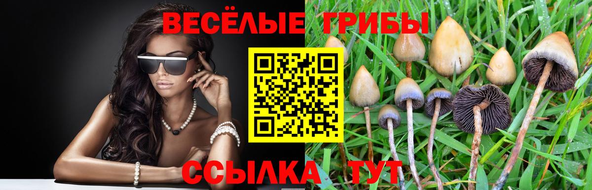 Воркута  даркнет сайт  Вход с VPN  Псилоцибиновые грибы прущие грибы 